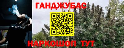 метадон Новозыбков